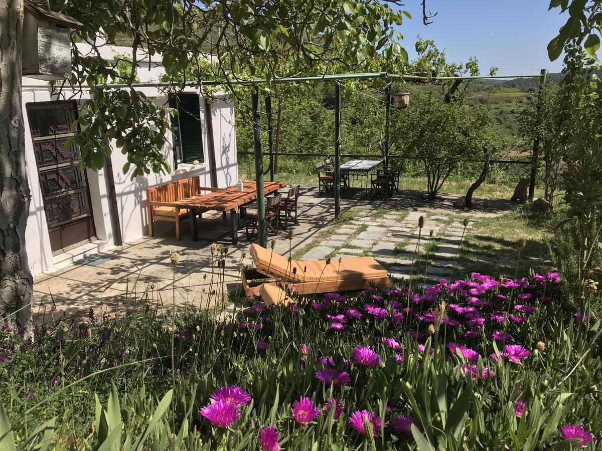 Temenia House Villa Exterior photo