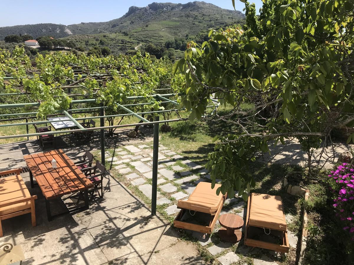 Temenia House Villa Exterior photo