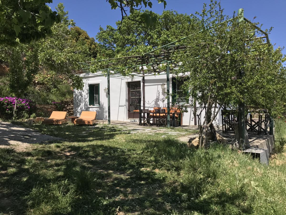Temenia House Villa Exterior photo